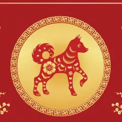 Pies jako chiński znak zodiaku: poznaj jego charakterystykę