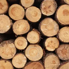 Stos drewna, idealny materiał, by zastanowić się, czym przykryć drewno, aby chronić je przed wilgocią.
