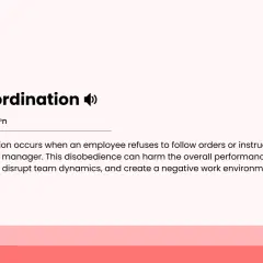 HR Glossary defines insubordination as an employee refusing orders. This disobedience harms performance, disrupts teams, and creates a negative environment.