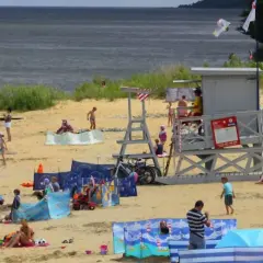 Słoneczna puck plaża tętni życiem. Ludzie opalają się, kąpią i bawią, tworząc radosną atmosferę.