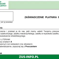 Zaświadczenie Z-3 dla płatnika składek, instrukcja wypełniania.