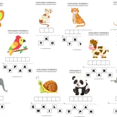 Zwierzęta karty pracy: motyl, papuga, słoń, ślimak, kot, tygrys, krowa, panda, kangur, wilk. Uzupełnij nazwy zwierząt.