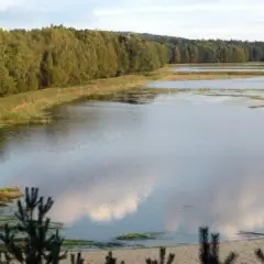 Najlepsze atrakcje w Choszcznie, które warto zobaczyć i odwiedzić