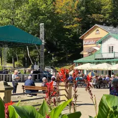 Atrakcje w Iwoniczu-Zdroju, które musisz zobaczyć i przeżyć