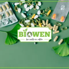 Różnorodne kapsułki i tabletki, w tym suplementy z ginkgo biloba, symbolizujące zdrowe witaminy.