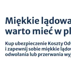 Kobieta z paszportem i pieniędzmi, gotowa do podróży. Warta ubezpieczenie od rezygnacji z podróży zapewni Ci miękkie lądowanie.