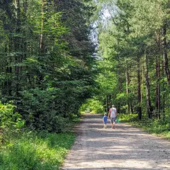 Spacer po puszczy dulowskiej. Ojciec z synem idą leśną drogą, otoczeni zielenią drzew.