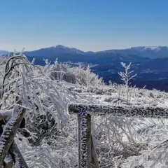 Mroźna **tarnica zimą** w Bieszczadach. Gałęzie pokryte szronem, drewniane ogrodzenie i błękitne niebo.