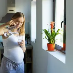 Une femme enceinte verse de l'eau du robinet dans un verre. Elle est dans sa cuisine, près d'une fenêtre avec une plante.