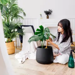 Młoda kobieta pielęgnuje monstera w salonie. Obok niej stoi zielony spryskiwacz.