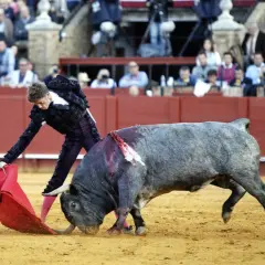 Un torero con traje de luces se enfrenta a un toro bravo en la arena. El público observa desde las gradas.