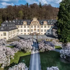 Schloss Ehreshoven erstrahlt im Frühling, umgeben von blühenden Magnolien und einem majestätischen Nadelbaum.