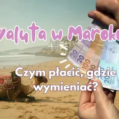 Dłoń trzyma marokańskie banknoty na tle plaży z wielbłądem i budynkami.