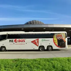Biały autokar Neobus z wizerunkiem pandki rudej na tle nieba, gotowy do podróży z Krosna do Łodzi.