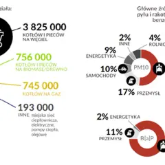 Wykresy pokazują, co wchodzi w skład smogu: kotły węglowe, biomasa, gaz, przemysł, energetyka, rolnictwo i samochody.