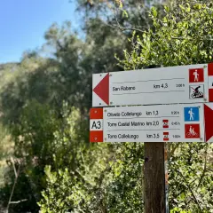Cartelli segnaletici nel Parco Regionale della Maremma indicano sentieri per San Rabano, Oliveto Collelungo e Torre Castel Marino.