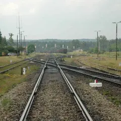 Rozstaw szyn kolejowych na stacji, z widocznymi zwrotnicami, budynkiem i drzewami w tle.