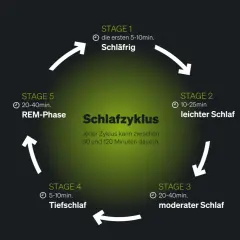 Der Schlafzyklus mit seinen Phasen (Schläfrig, leichter, moderater, Tiefschlaf, REM) erklärt die Bedeutung von gutem Schlaf. Ein Zyklus dauert 60-120 Min.