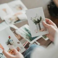 Dłonie przeglądają zdjęcia na papierze kredowym, ukazujące bukiety kwiatów w wazonach. To wspomnienia utrwalone na papierze fotograficznym.