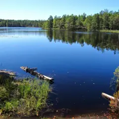 Lugn sjö med spegelblankt vatten och skogsklädda stränder. En fallen trädstam flyter i vattnet vid paradiset naturreservat.
