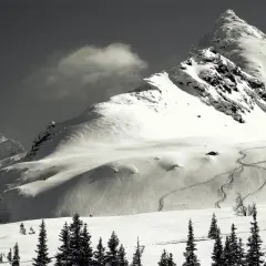 Ośnieżony szczyt, niczym polski Matterhorn, z wyciętymi na zboczu śladami nart. W dole sosny.