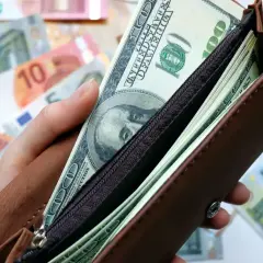 Dłoń trzyma brązowy portfel z banknotami dolarowymi i euro. Zastanawiasz się, w jaką walutę inwestować?