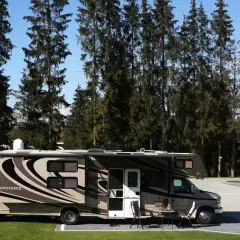 Kamper Sunseeker zaparkowany na campingu Gorący Potok, otoczony wysokimi sosnami.