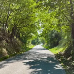 Najlepsze trasy motocyklowe w Lubelskim - odkryj malownicze szlaki