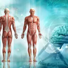 Anatomia kolarza: sylwetka i budowa ciała - Czym się różnią?