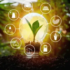 Odnawialne źródła energii - jakie są i jak działają?