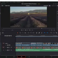 Editing a lavender field video in DaVinci Resolve 18, with timeline and audio inspector visible.