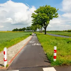 Malownicza wiślana trasa rowerowa wśród zielonych pól i drzew. Idealne miejsce na spokojną przejażdżkę.