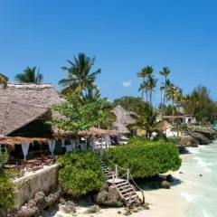 Zanzibar w lutym: słoneczna pogoda, palmy, plaża i urokliwe restauracje z krytymi strzechą dachami. Idealne miejsce na wakacje.
