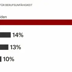 Hauptursachen für Berufsunfähigkeit: Psychische Leiden (40%), Krebs (14%), Neurologie (13%), Skelett (10%). Bei psychischen Erkrankungen bekommt man am häufigsten Erwerbsminderungsrente.