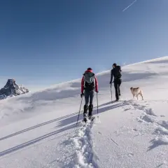 Dos personas y un perro disfrutan de una ruta con raquetas de nieve bajo un cielo azul, con una montaña nevada al fondo.