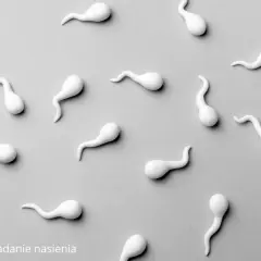 Badanie nasienia w domu: Przygotowanie krok po kroku do seminogramu