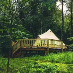 En lyxig glamping i Skåne, med ett beige tält på en träaltan mitt i en grönskande skog.