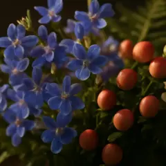 En bukett med små, blå lobelia-blommor, röda bär och en krämvit blomma.