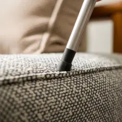 Skuteczne sposoby na to, jak pozbyć się sierści z kanapy
