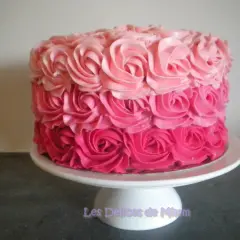 Gâteau rond décoré de roses en crème rose, du plus foncé au plus clair. Un délice visuel !