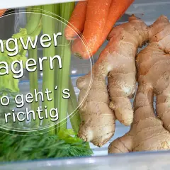 Frischer Ingwer, Karotten und Sellerie im Kühlschrank. So lagern Sie Ingwer richtig für maximale Frische.