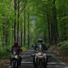 Zwei Motorradfahrer genießen eine entspannte Motorradtour im Bergischen Land, umgeben von einem leuchtend grünen Buchenwald.