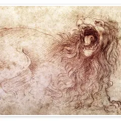 Leonardo da Vinci rysunek przedstawia ryczącego lwa z otwartą paszczą i bujną grzywą, uchwyconego w dynamicznym ruchu.