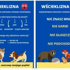 Objawy wścieklizny u kota: agresja, ślinotok, dziwne zachowanie. Nie zbliżaj się do chorych zwierząt. Zaszczep swojego pupila!