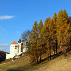 Pieskowa Skała atrakcje, które zaskoczą każdego turystę