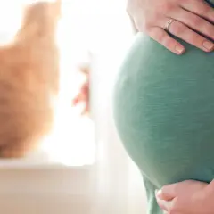 Brzuszek w 19 tygodniu ciąży, otoczony troską przyszłej mamy i ciekawością rudego kota.