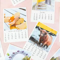 Ein **fotokalender selber basteln** mit Bildern von Novemberlaub, einem schottischen Hochlandrind, Wachsoldaten und mehr.