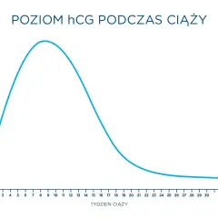 Wykres pokazuje, jak poziom hCG rośnie do ok. 9 tygodnia ciąży, a potem stopniowo spada.