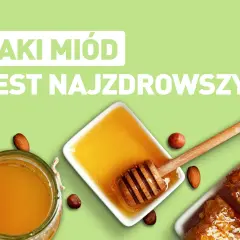 Jaki miód wybrać? Odkryj najlepsze rodzaje i ich zdrowotne korzyści
