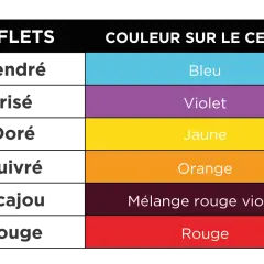 Tableau comparatif des reflets capillaires et des couleurs du cercle chromatique : cendré/bleu, irisé/violet, doré/jaune, cuivré/orange, acajou/mélange rouge-violet, rouge/rouge.
